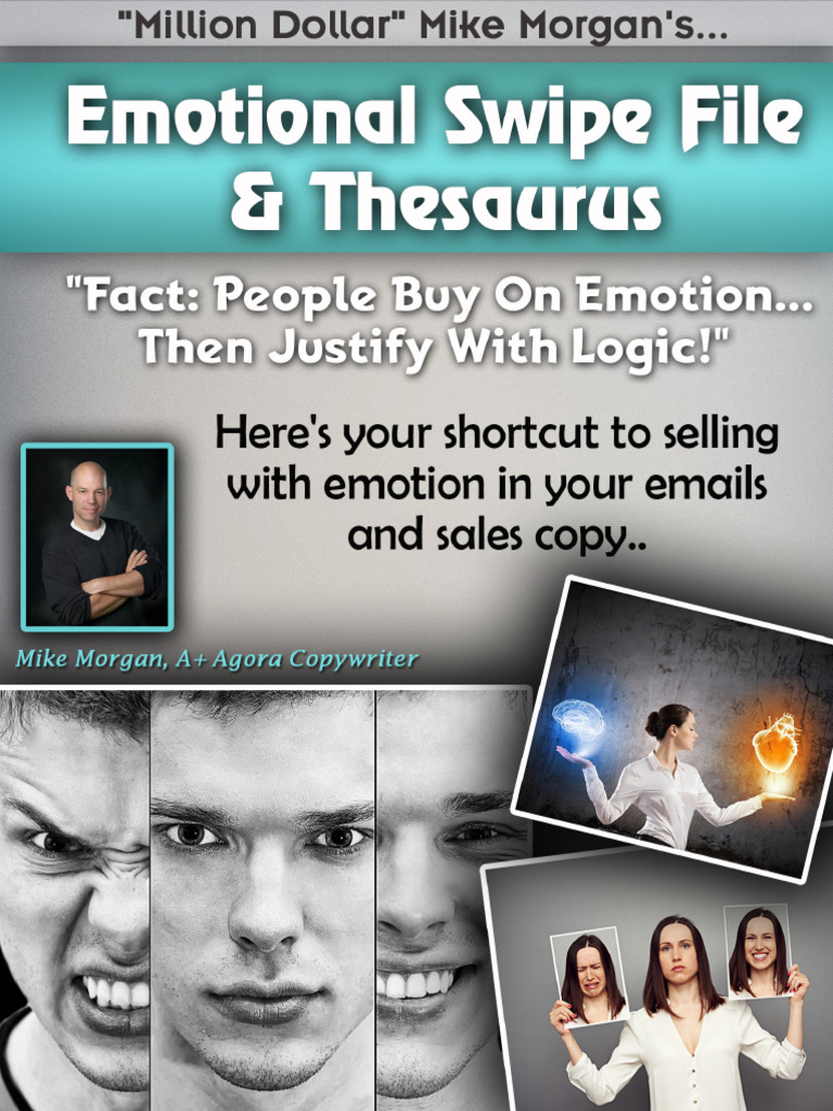 Your Emotional Swipe File and Thesaurus PDF Emotions Anxiety