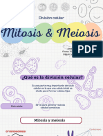 Mitosis y Meiosis Genetica