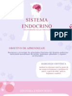 C02 Sistema Endocrino (Organización)