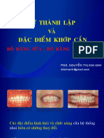 8 Thanh Lap Bo Rang Sua-Vv - 2019 - Ka