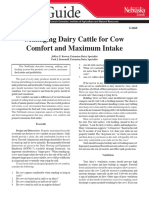 Managing Dairy Cattle For Cow Comfort and Maximum Intake