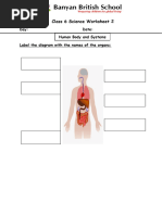 Class 6 Science Worksheet 2