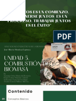 Unidad 5. Combustión de Biomasa