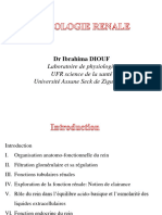 Physiologie Rénale - 2023 (1) - 230713 - 182101