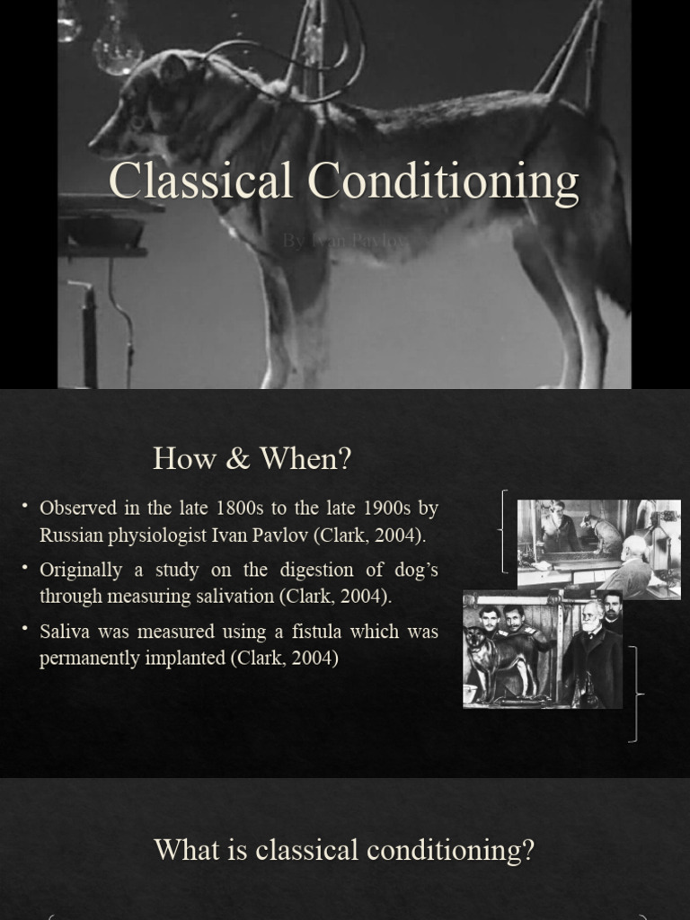 Classical Conditioning PDF Classical Conditioning Psychological