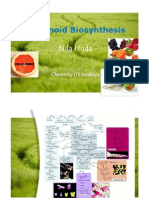 Flavonoid Biosynthesis: Nila Huda