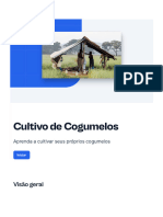 Cultivo de Cogumelos