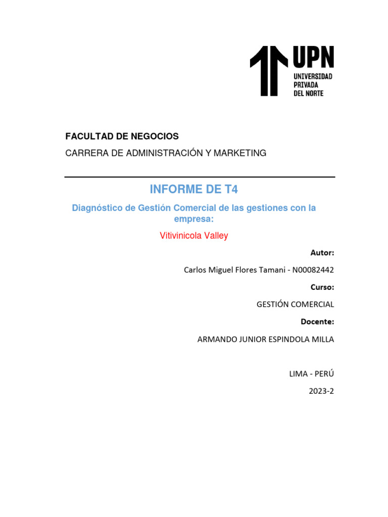 Caso T4 | PDF | Marketing | Mercado (economía)