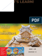 PDF - Horned Lizard