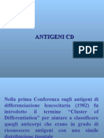 07-03-08-Antigeni CD