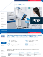 Real Time PCR Cycles