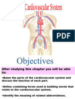 Cardiovascular System