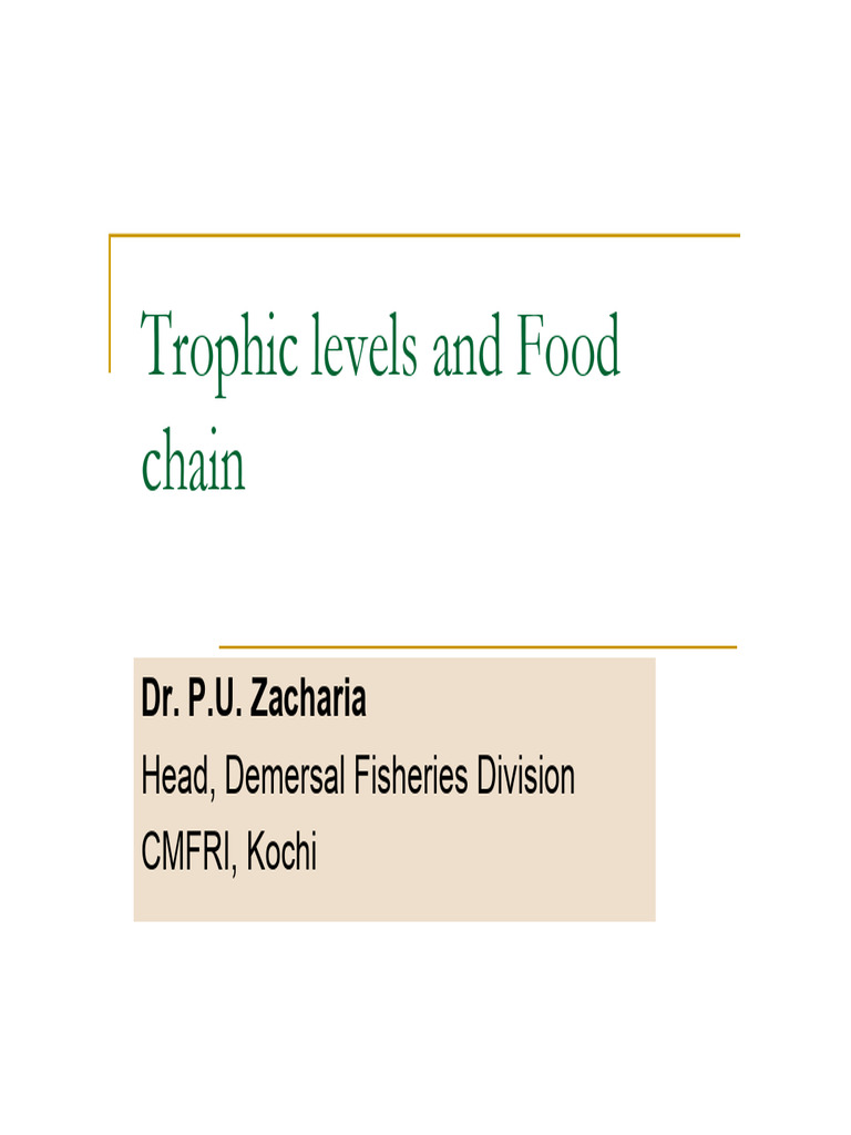 Trophic Levels and Food Chain Biology Diagrams