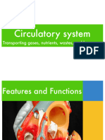 U3circulatory System