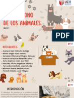 Abandono de Los Animales G5