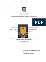 Ejercicios Evaluación de Protocolo de Ejercicios en Embarazo 2