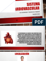 Sistema Cardiovascular