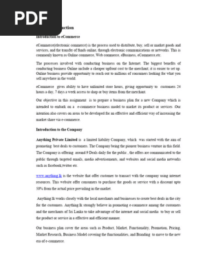 E-commerce Business Plan