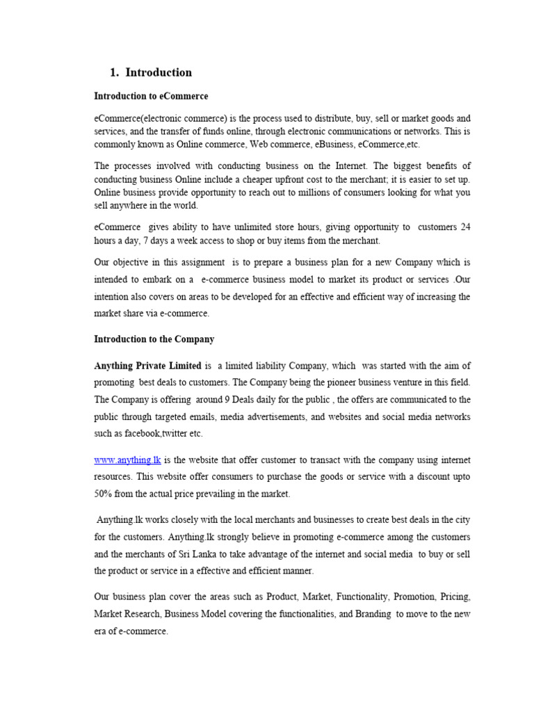 Business Plan PDF E Commerce Credit Card