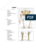 Lower Extremity