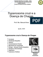 Aula Doença de Chagas