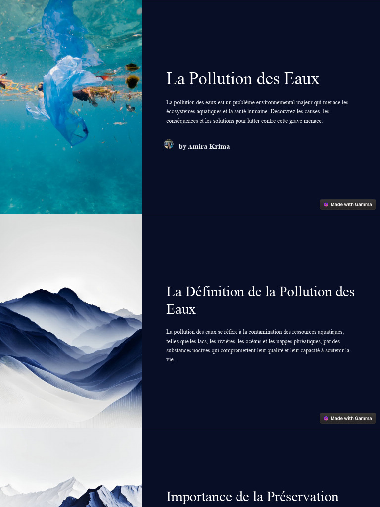 La Pollution Des Eaux | PDF | Pollution de l'eau | la pollution
