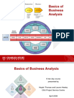 Basics of Business Analysis 1685310575