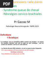 Drapeaux rouges en lombalgie sciatique | PDF | Lombalgie | Physiologie