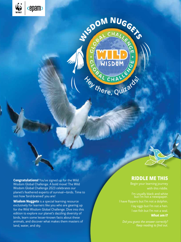 Wisdom Nugget Online PDF Birds Feather