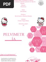 Pelvimetría en Obstetricia y Técnicas | PDF | Pelvis | Parto