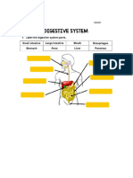 Digestive System