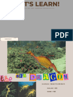 PDF Seadragon