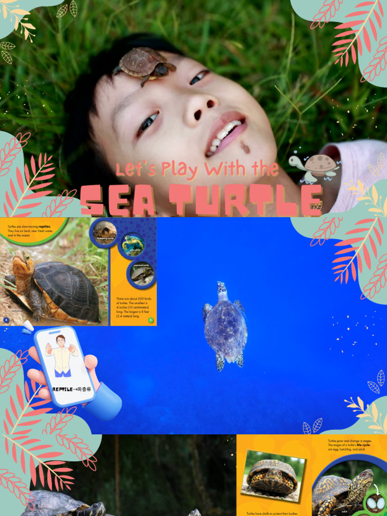 PDF - Sea Turtles | PDF