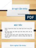 Thuật Ngữ Cắn Khớp-ppp