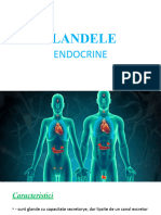 Glandele Endocrine