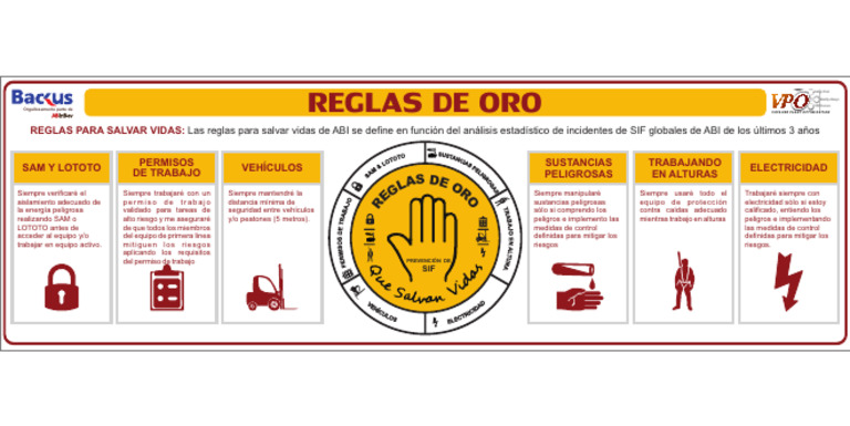 Seis Reglas de Oro para la Seguridad | PDF | La seguridad