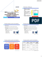 Aula - Determinacao Das Recomendacoes Energeticas de Individuos Saudaveis