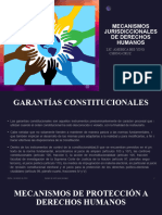 Mecanismos Jurisdiccionales de Derechos Humanos