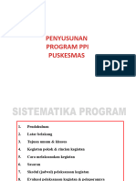 Program PPI Puskesmas