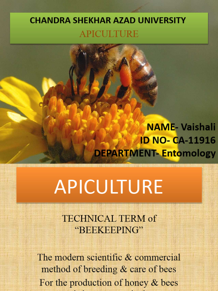 A Pi Culture | PDF | Honey Bee | Beekeeping