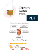 Digestive System Final