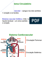 Aula_Sistema_Circulatorio