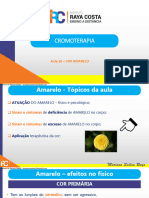 Aula 10 - AMARELO PDF