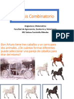 Análisis Combinatorio Y BN Solana AyZ PDF