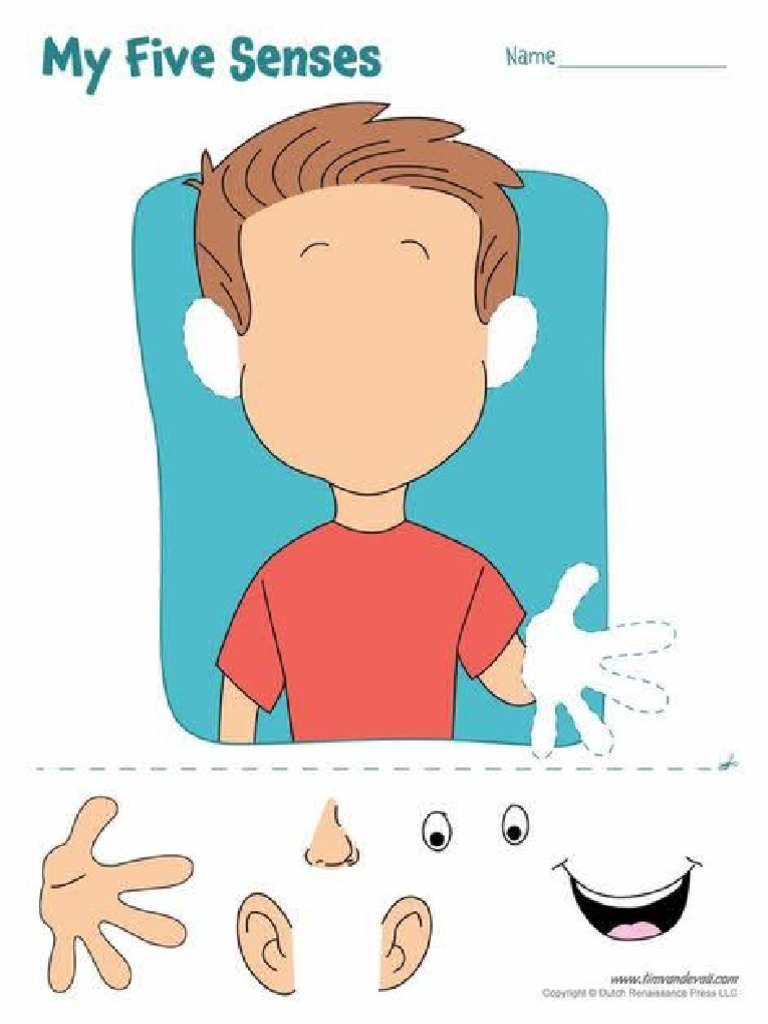 Body Parts Cut Out Stick PDF