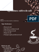 Agricultura Cultivo Do Café - 20231030 - 072123 - 0000