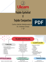 Organizador Grafico - Tejido - Epitelial - Conjuntivo - Carlos - Maldonado - Compressed