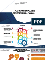 Ministerio de Ambiente Informe Minera Panamá v2