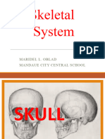 Skeletal System and Its Parts