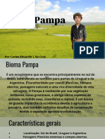 Bioma Pampa - 20231026 - 205604 - 0000